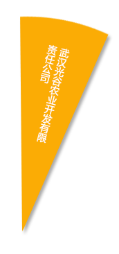 pg电子·(中国区)官方网站-不凡成绩非凡