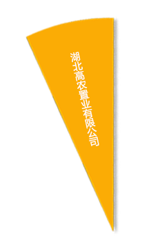 pg电子·(中国区)官方网站-不凡成绩非凡
