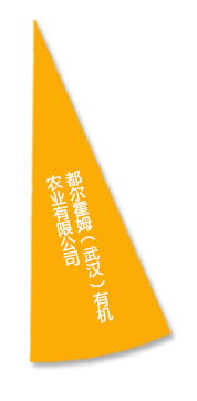 pg电子·(中国区)官方网站-不凡成绩非凡