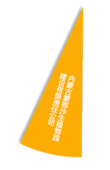 pg电子·(中国区)官方网站-不凡成绩非凡