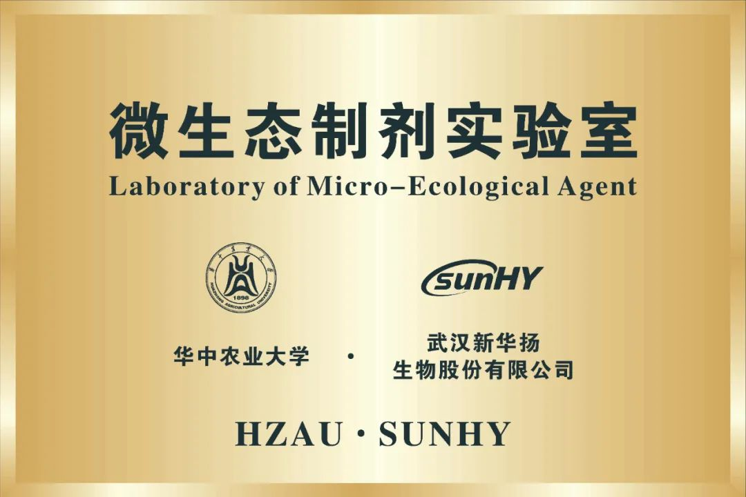 pg电子·(中国区)官方网站-不凡成就非凡