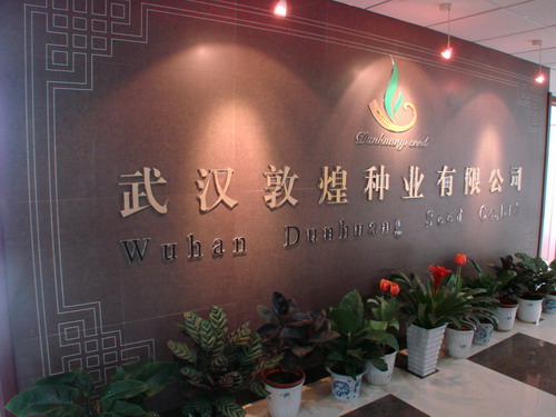 pg电子·(中国区)官方网站-不凡成绩非凡