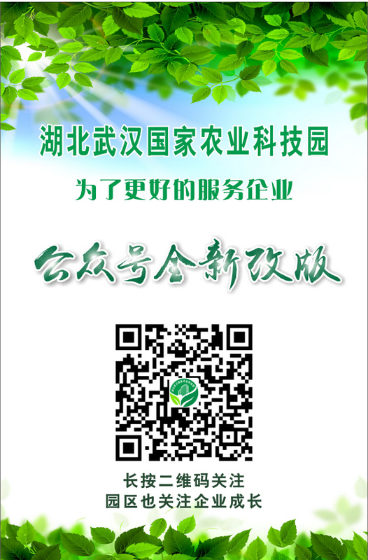 pg电子·(中国区)官方网站-不凡成绩非凡