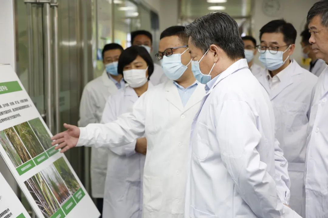 pg电子·(中国区)官方网站-不凡成就非凡